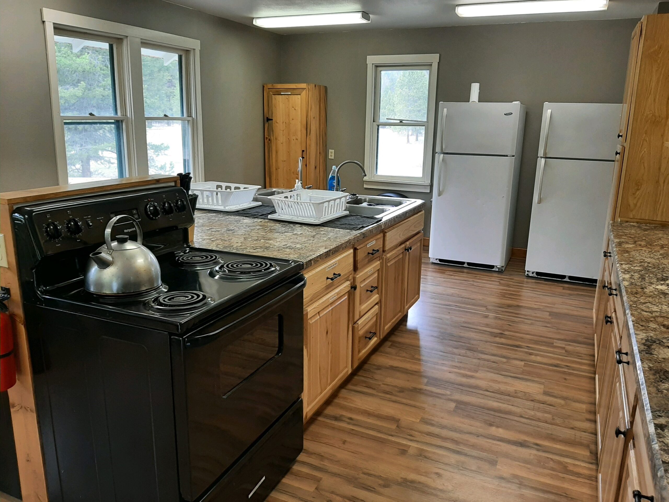 A modern renovated kitchen with new cabinets and countertops
