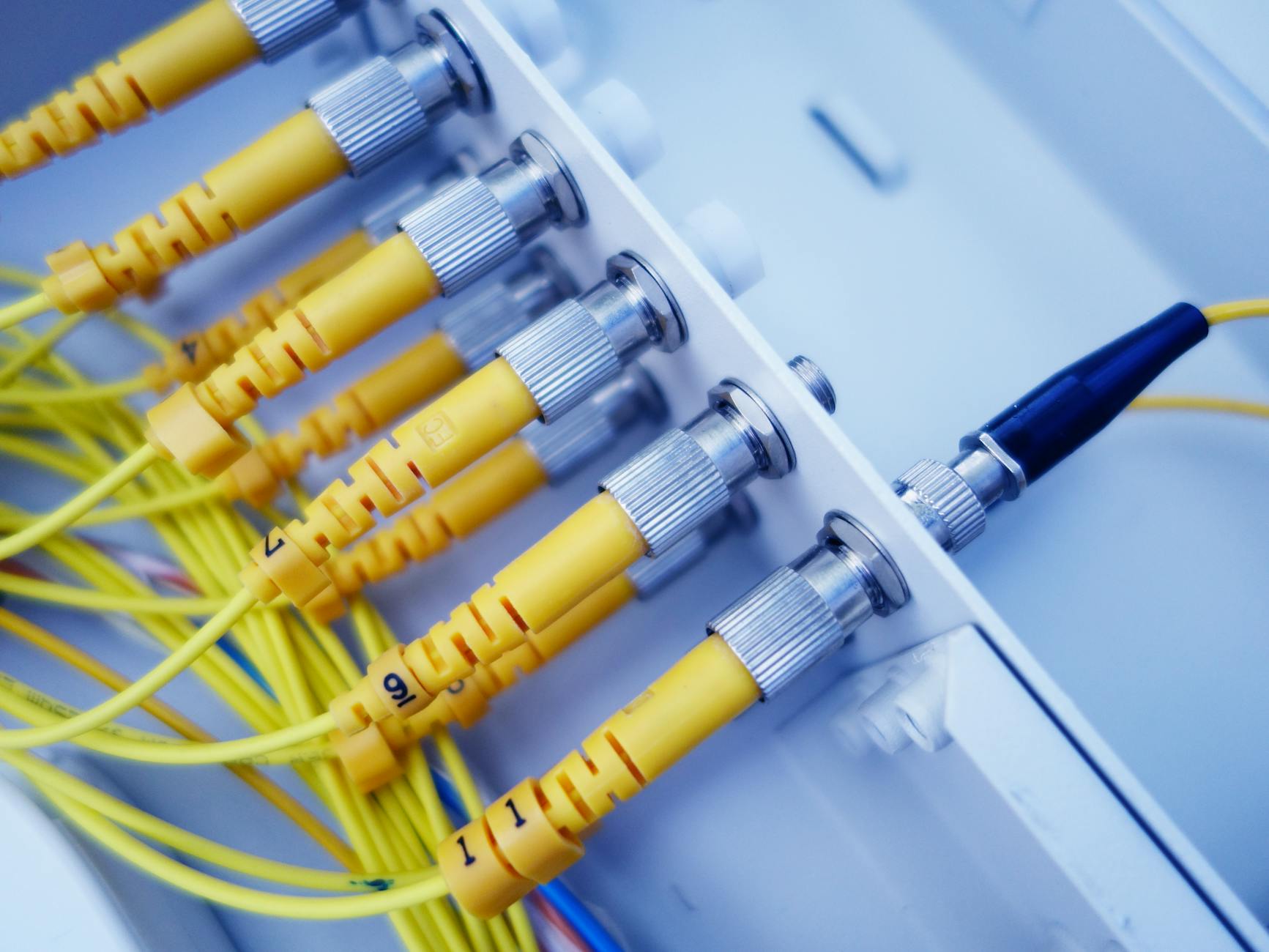 Business network and community connections in Cornwall