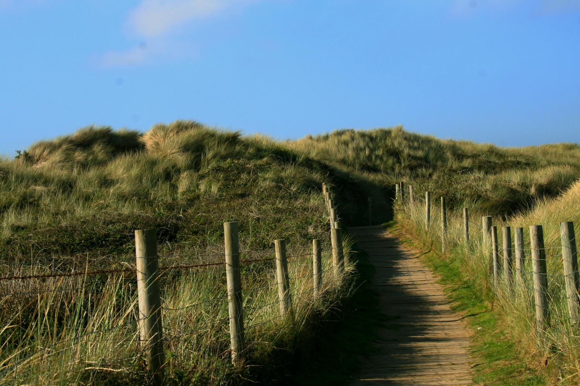 Long winding road through Cornwall countryside representing a patient journey