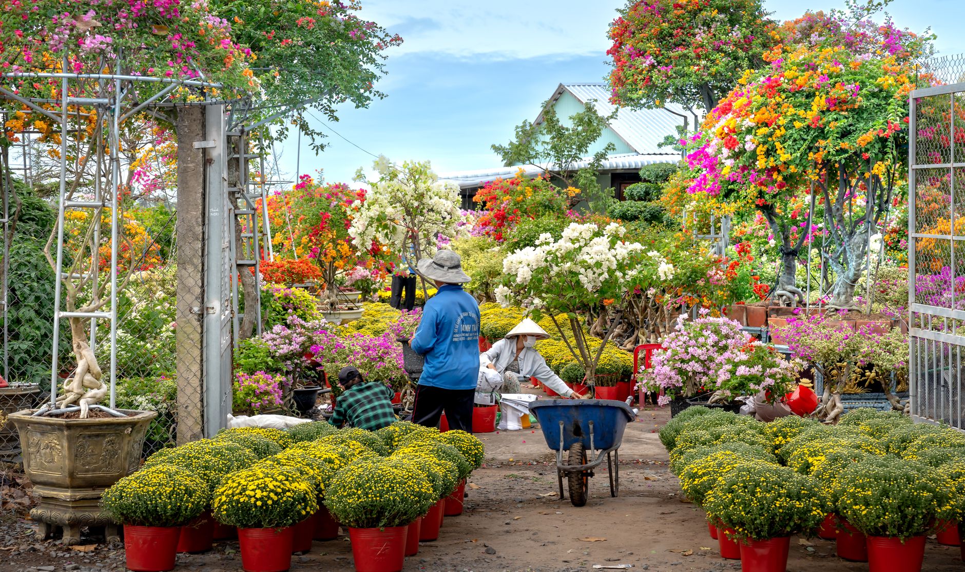 Gardener tending a flower bed in spring sunshine