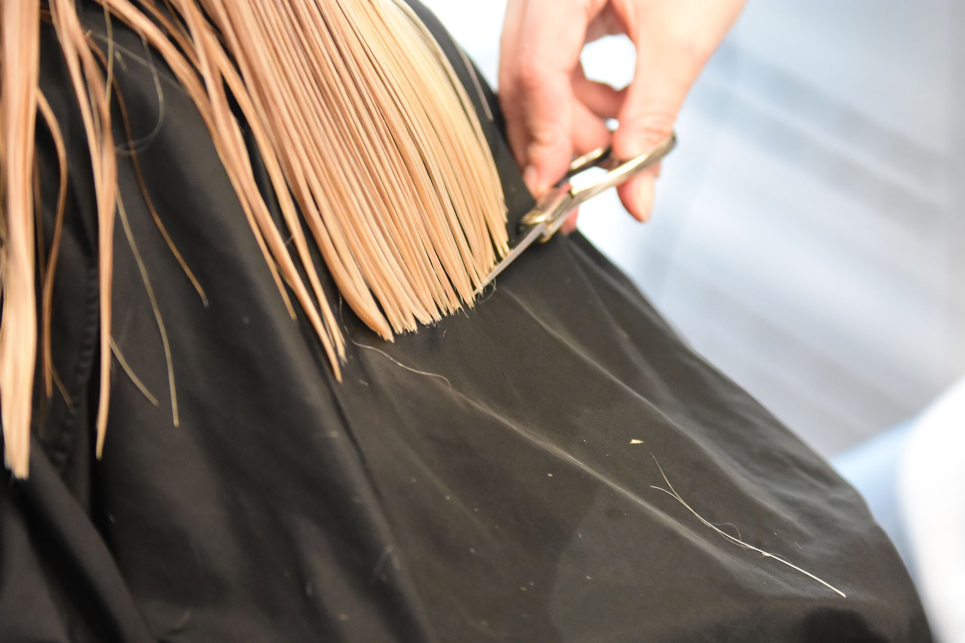 Hairdresser cutting a client's hair in a salon