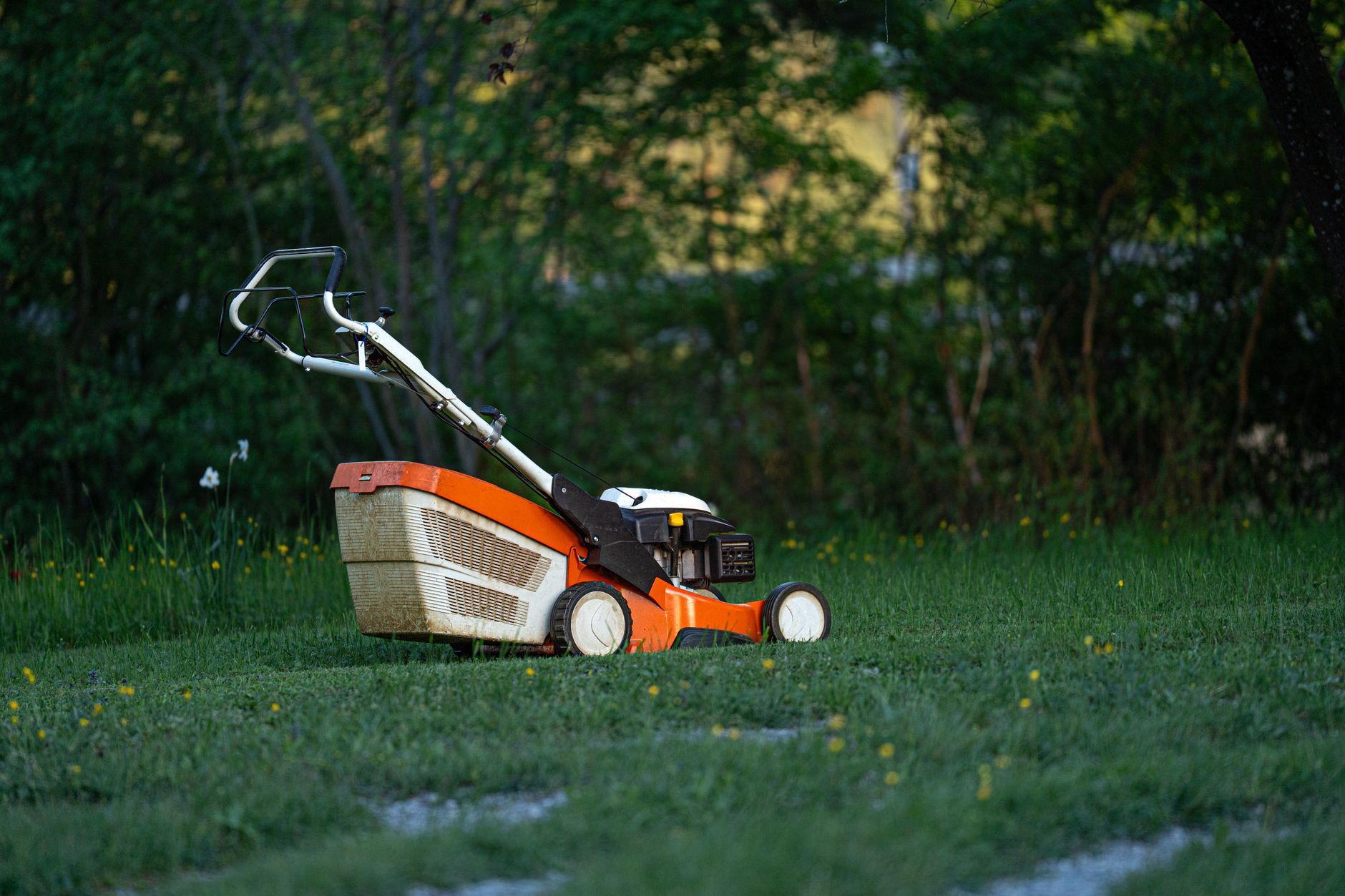 Lawn being mowed as part of routine garden maintenance