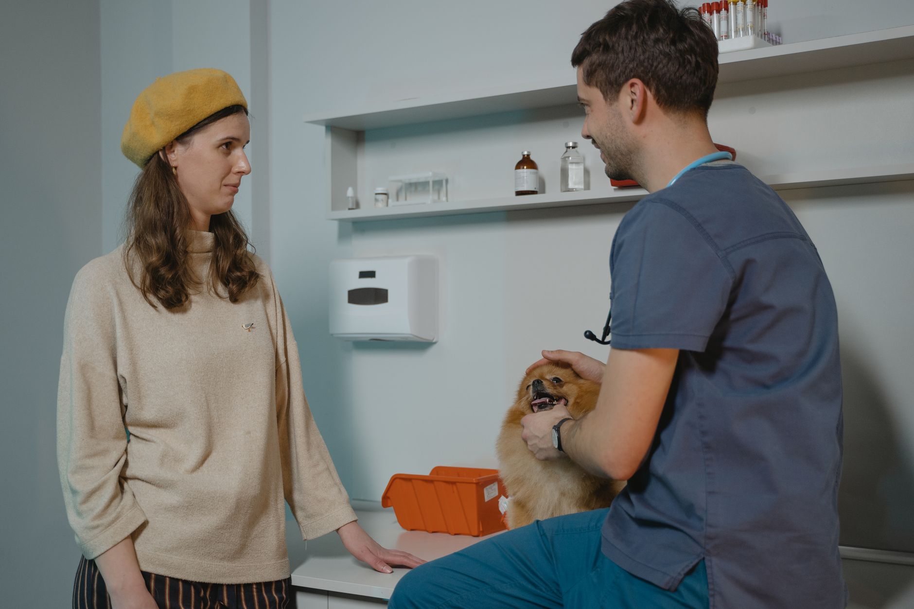 Veterinary clinic reception with a dog and cat waiting